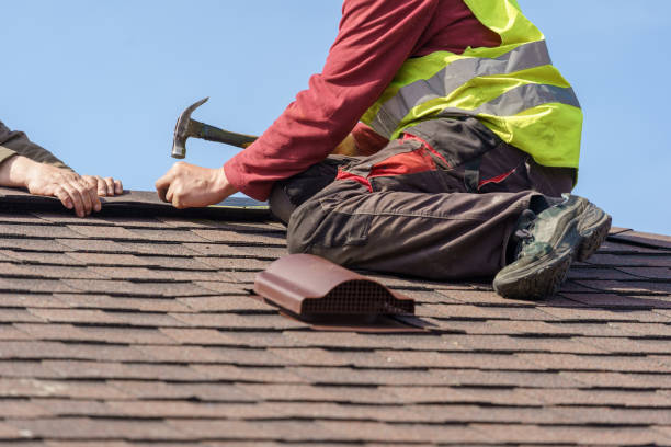 Best Roof Gutter Cleaning  in Monument, CO